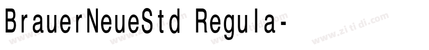 BrauerNeueStd Regula字体转换